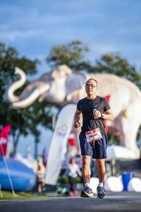 BIB: 
                            <button type="button" onclick="openModal(26541306)" class="btn btn-primary btn-sm float-right btn-popup" data-toggle="modal" data-target=".modal-high-quality">
                        <i class="fas fa-shopping-cart"></i> Add to Cart
                    </button>
                                            <button type="button" onclick="isThisMe(26541306, true)" class="btn btn-success btn-sm float-right btn-popup btn-isme hidden" data-toggle="tooltip" data-placement="bottom" title="นี่คือรูปของคุณใช่ไหม คลิกที่นี่เพื่อเอาเข้าอัลบั้ม">
                        <i class="fas fa-plus"></i> Add to album
                    </button>
                    <button type="button" onclick="isThisMe(26541306, false)" class="btn btn-warning btn-sm float-right btn-popup btn-isnotme hidden">
                        <i class="fas fa-ban"></i> Remove from album
                    </button>